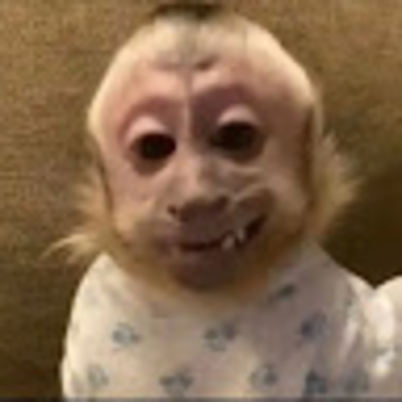 Meet your Posher, Marie - Picture 1 of 1